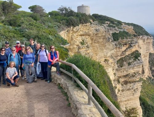 Vielfältiges Reiseziel: die andalusische Provinz Cádiz